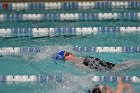 Swim vs Bentley  Wheaton College Swimming & Diving vs Bentley University. - Photo by Keith Nordstrom : Wheaton, Swimming & Diving